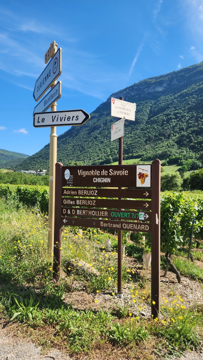 Виноградники Савойи