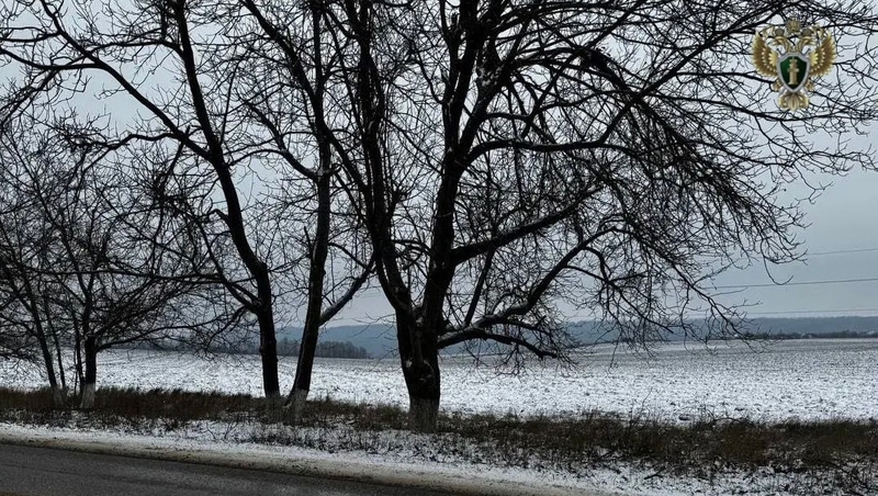      Фото: Прокуратура Ставропольского края