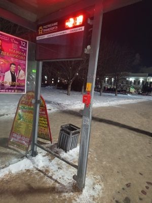 Фото: Елена Шепелева  📷
