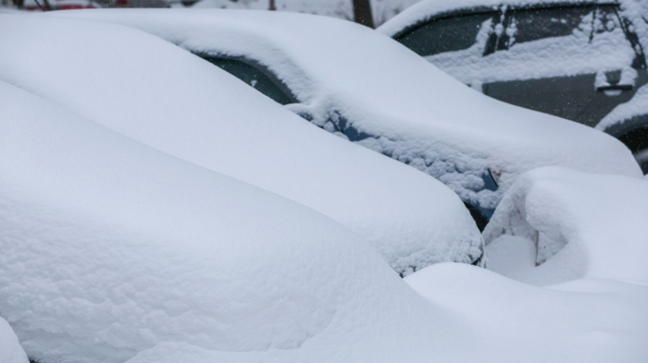    Алексей Белкин/NEWS.ru