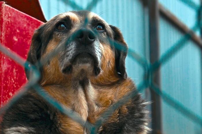 Обложка © Shutterstock / FOTODOM / andysavchenko