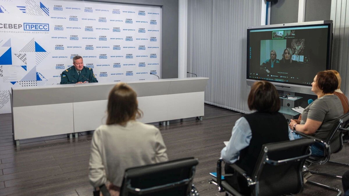    О переезде ямальских овцебыков в Пермский зоопарк говорили в пресс-центре «Север-Пресса». Фото: Никита Погодин / «Ямал-Медиа»