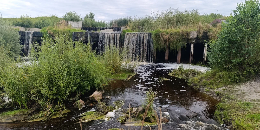 Житейские проблемы и не менее житейские эмоции