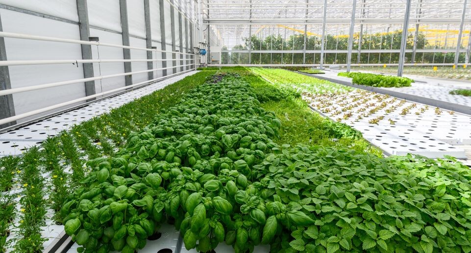    Медиасток.рф