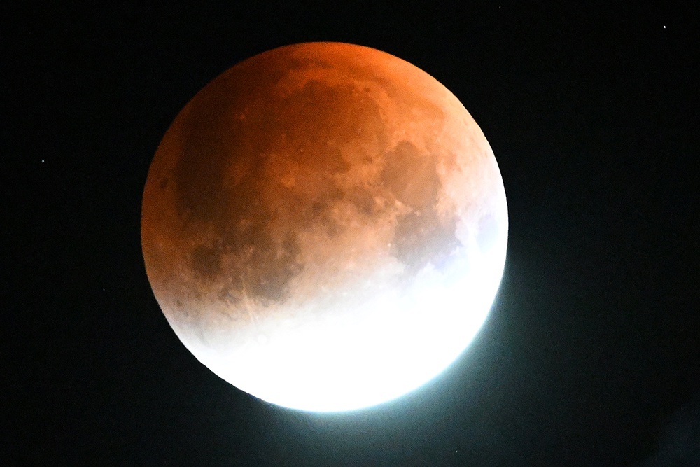    Илья Наймушин/РИА Новости