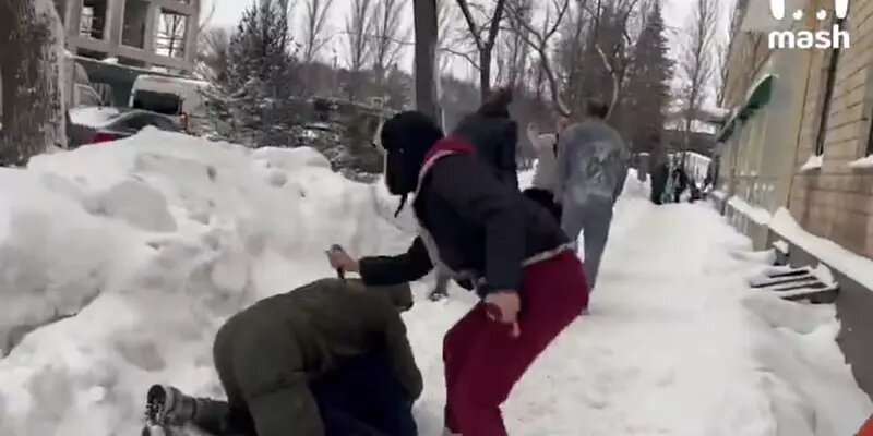 Депутат Миронов призвал к объективному суду над актрисой Анной Артамоновой