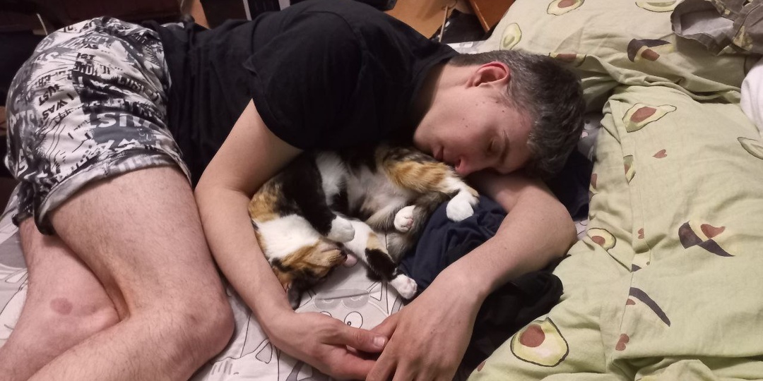 Самооправдания и планы. Лежу на кошке