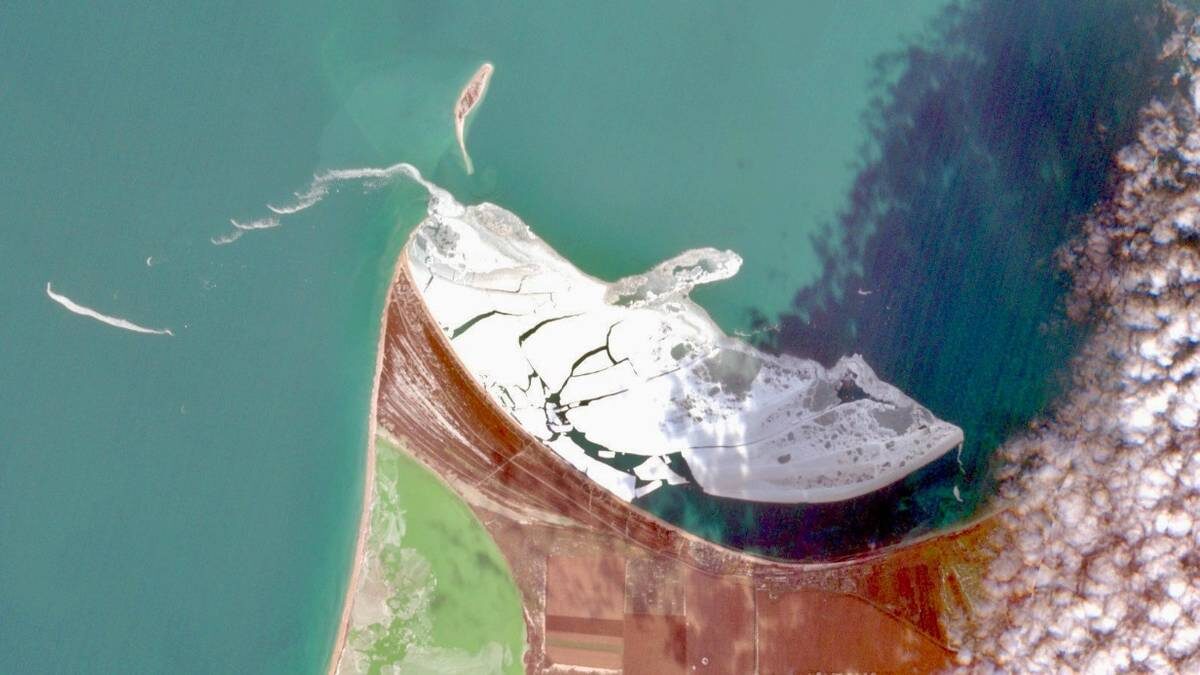    Фото: ФГБУ Заповедный крым / ВКонтакте