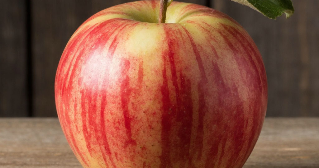 Яблоня «Орловское полосатое» — один из лучших позднеосенних сортов на наших дачных участках