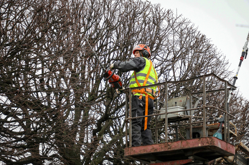    Фото: https://www.gov.spb.ru/press/governor/311176/