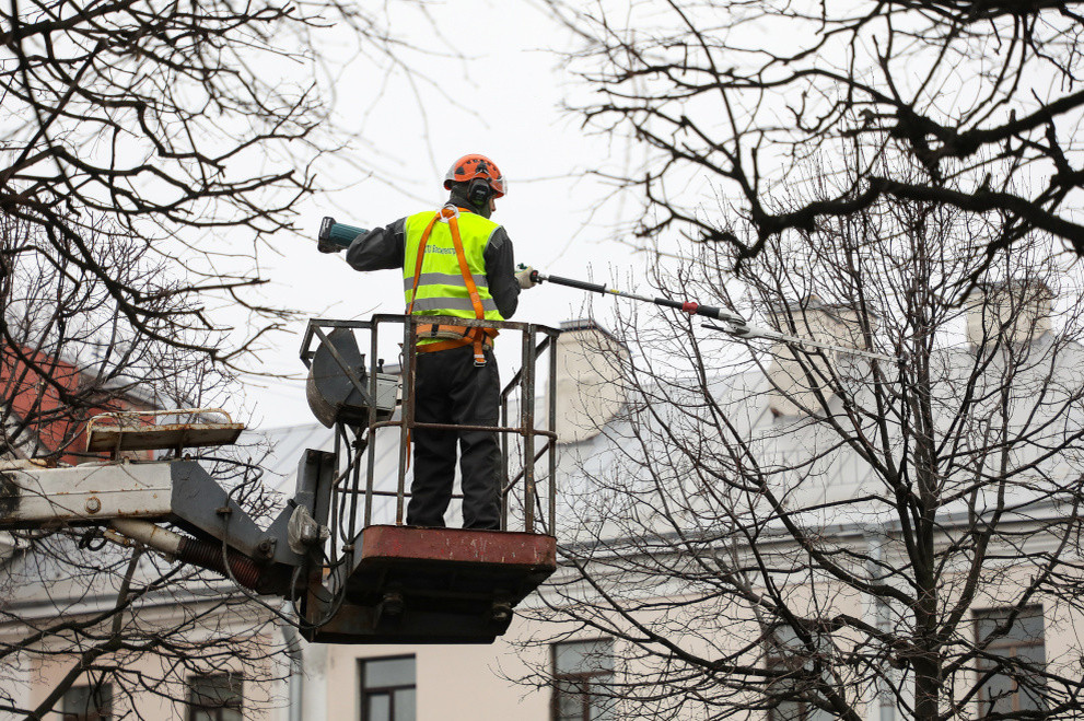    Фото: https://www.gov.spb.ru/press/governor/311176/