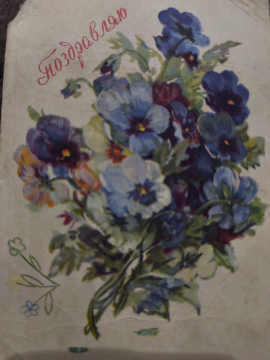 Фото 📷 автора