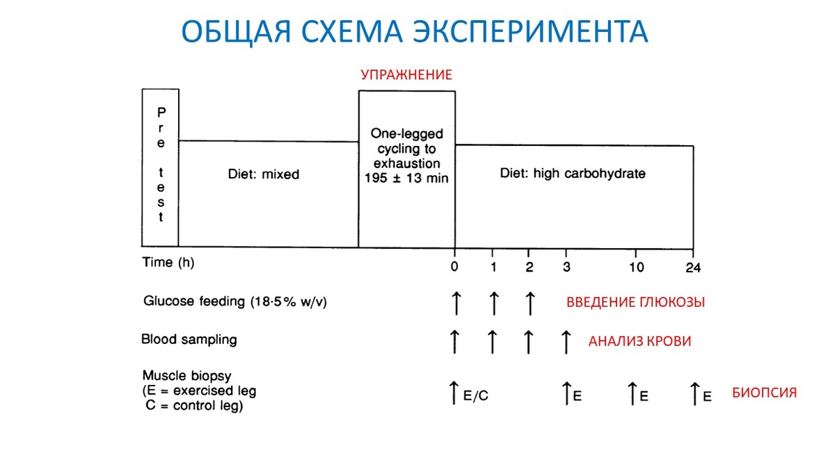 Рисунок 1. Общая схема эксперимента.