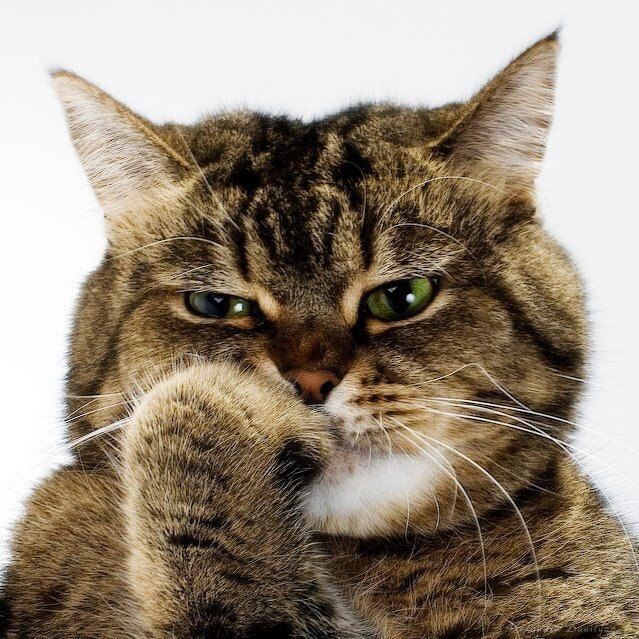 источник Яндекс-картинки