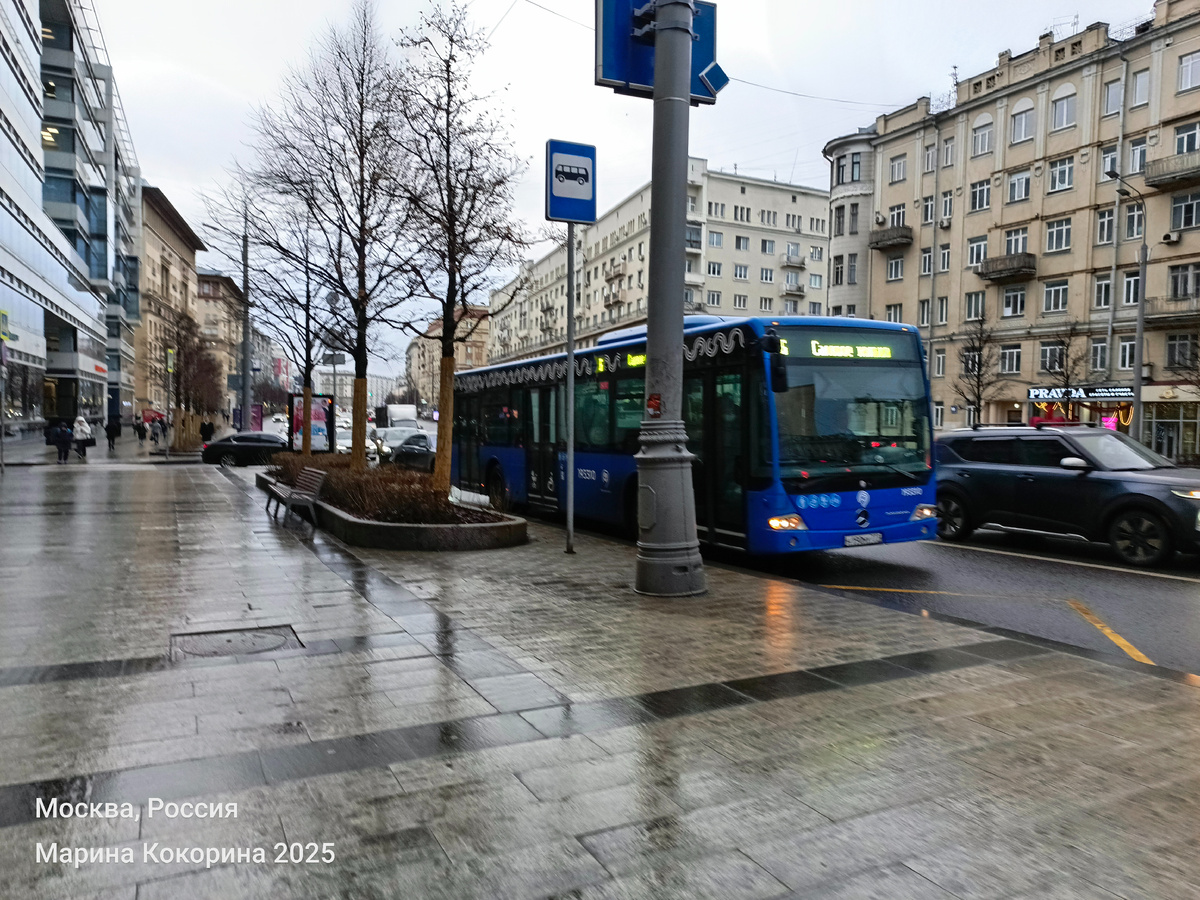 16 декабря 2025 г., снега в Москве еще не было.