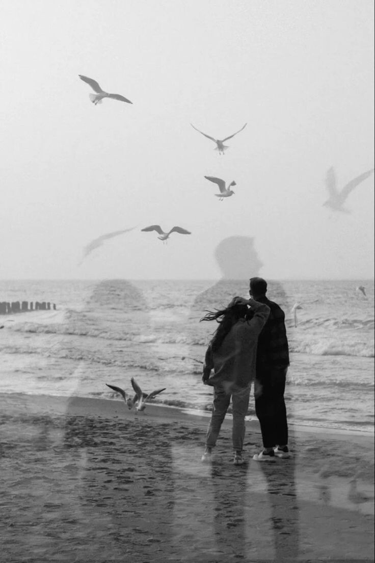 Фото взято с сайта https://pin.it/LcdWu6TPG