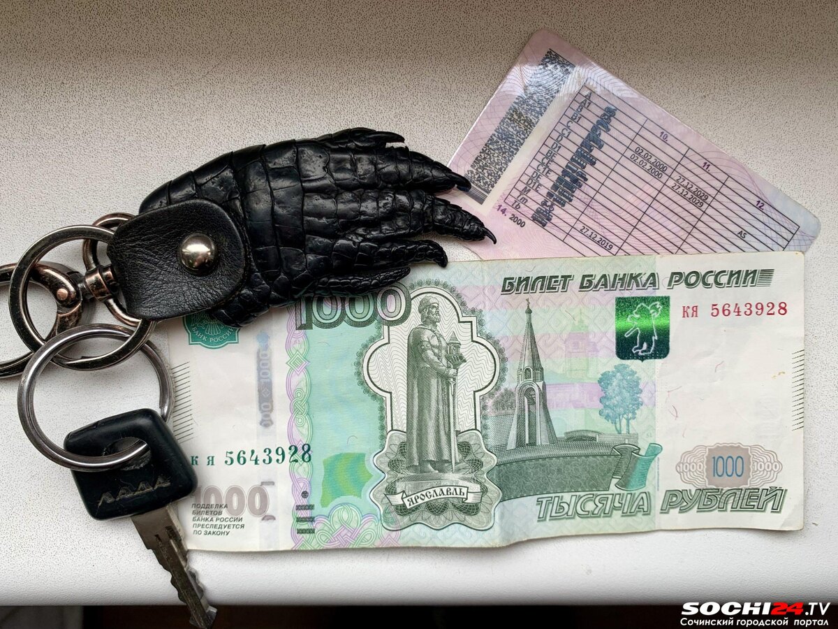 фото: Сочи 24  📷
