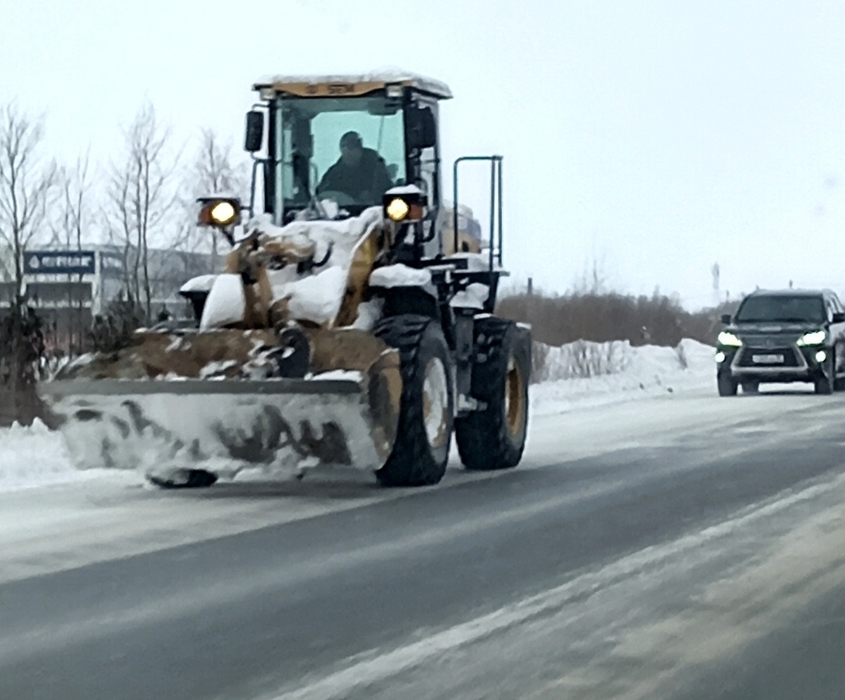 Фото автора.