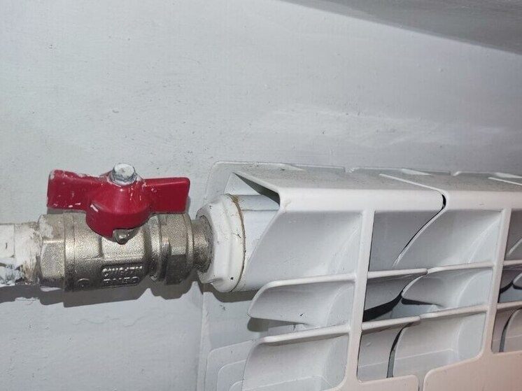     Сотрудники больницы уже осмотрели все палаты. Фото: архив МК в Питере