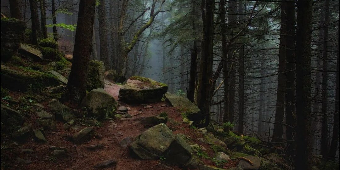 Дорогой изгоев. Глава 20