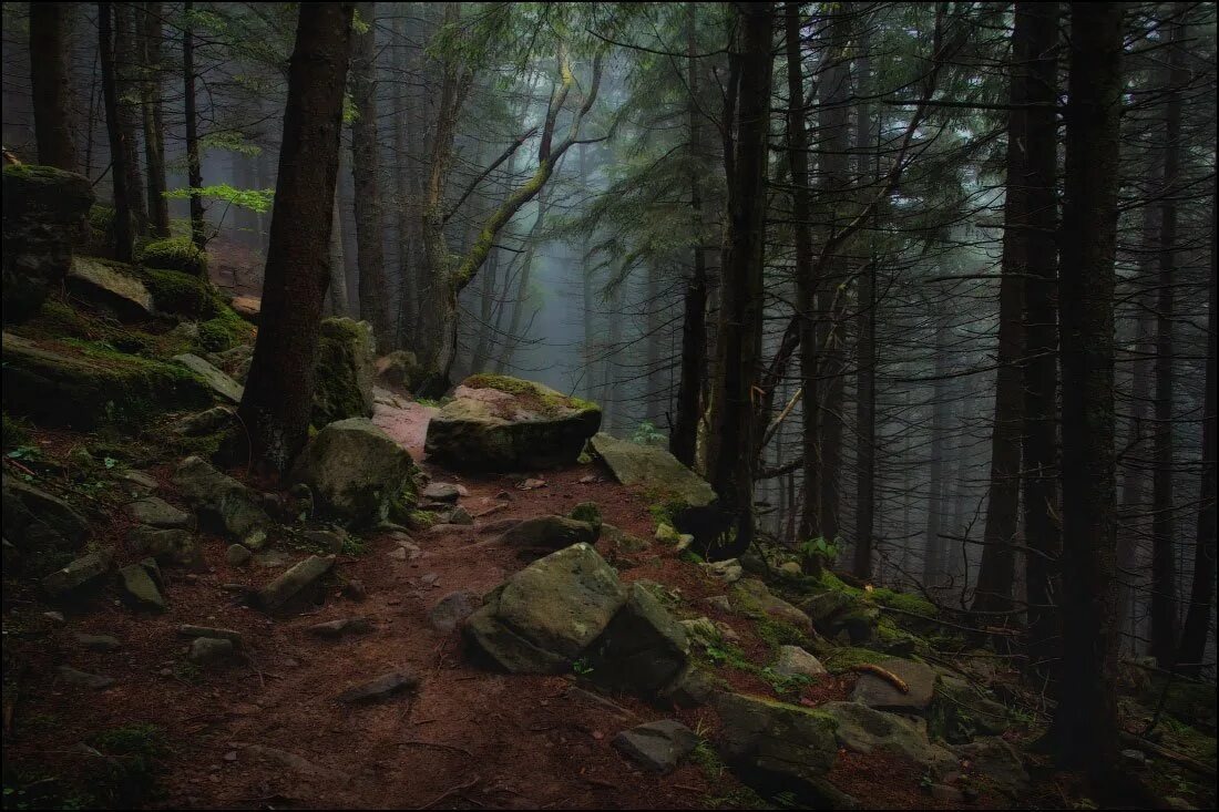 фото из интернета