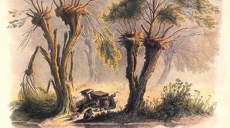 Фото: runivers.ru