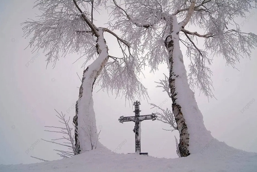 Изображение взято с сайта https://ru.pngtree.com/freebackground/mystical-winter-landscape-in-austria-with-frosted-trees-and-icy-cross-photo_19781739.html