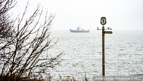     Фото: Александр Мелехов/ТАСС   
 Текст: Валерия Городецкая