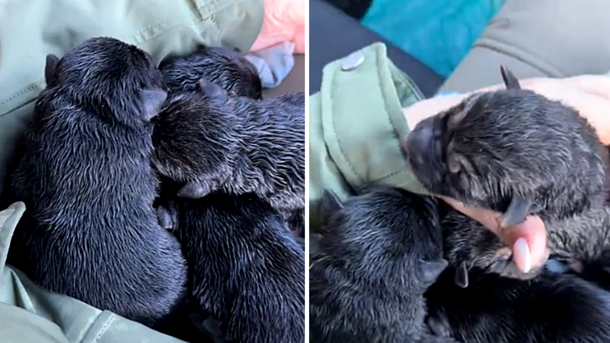 Скриншот с видео с личной странички Валентины