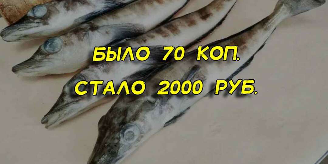 Настоящие причины, почему рыба в СССР стоила дешево, а сегодня она дороже мяса