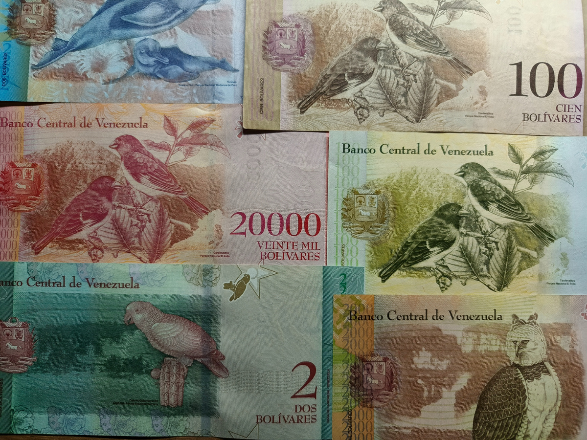 Джунгли зовут...