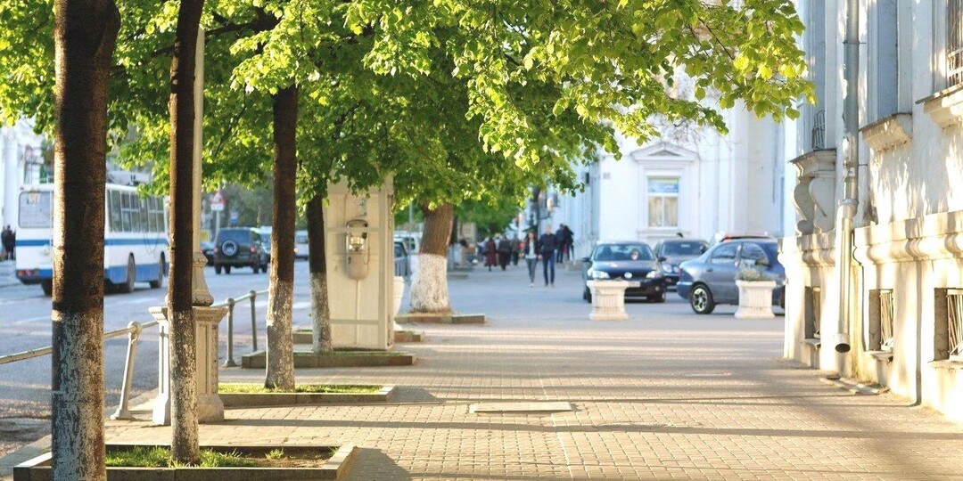 Тайны русского леса 13 часть