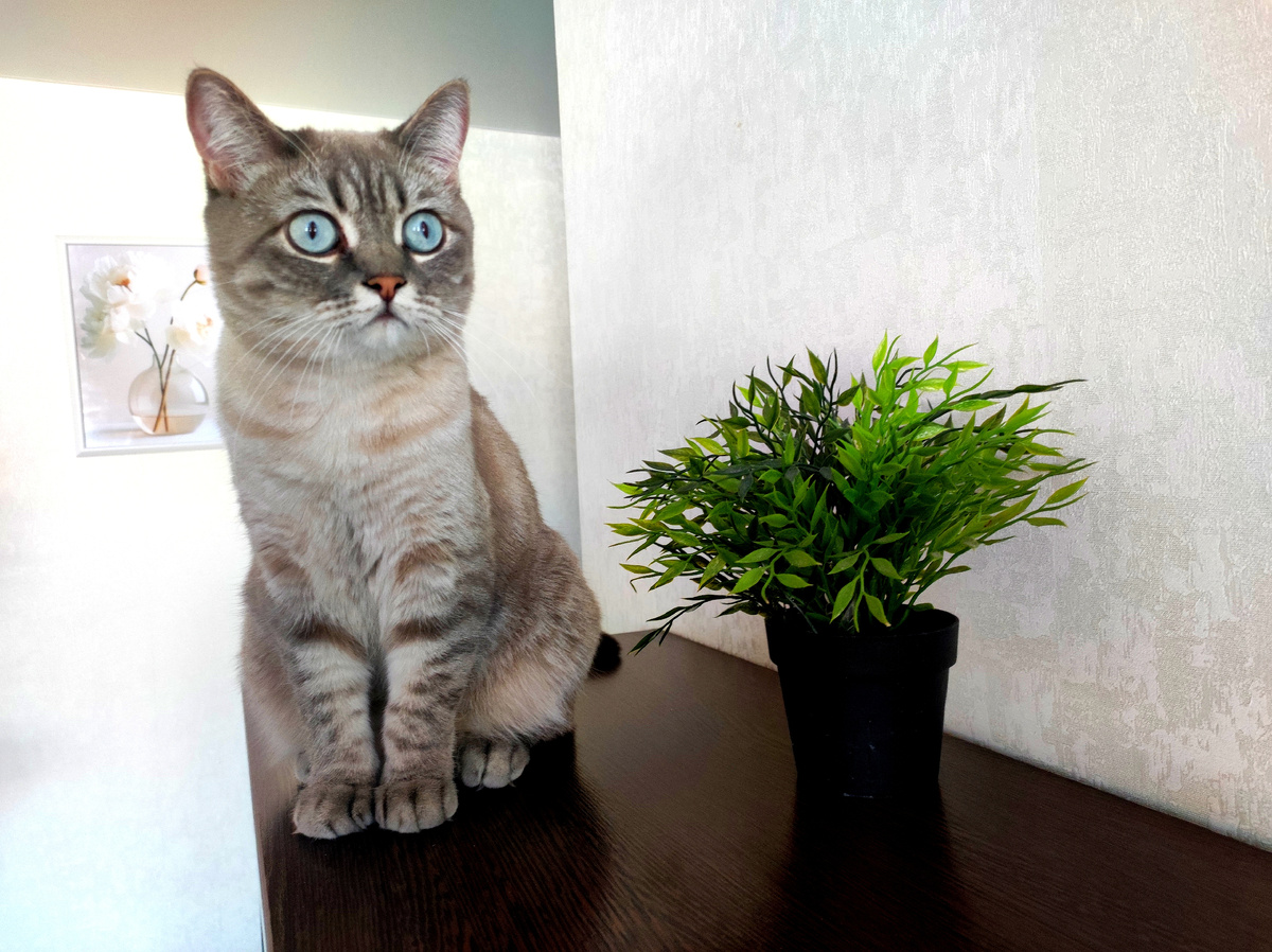 Глаза...🥹💓