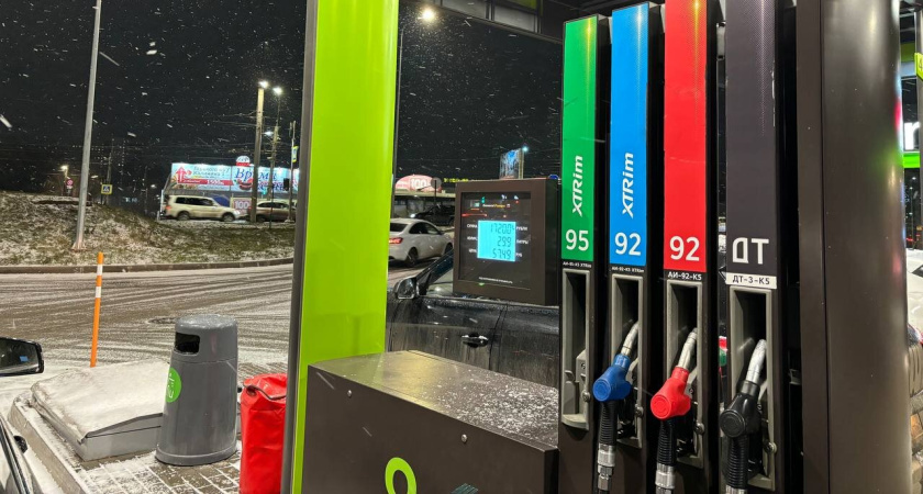    Фото newtambov.ru