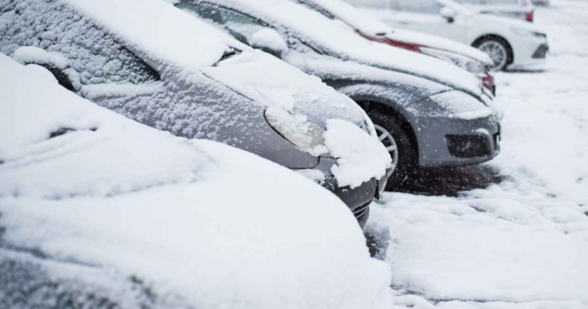 Фото из открытых источников 