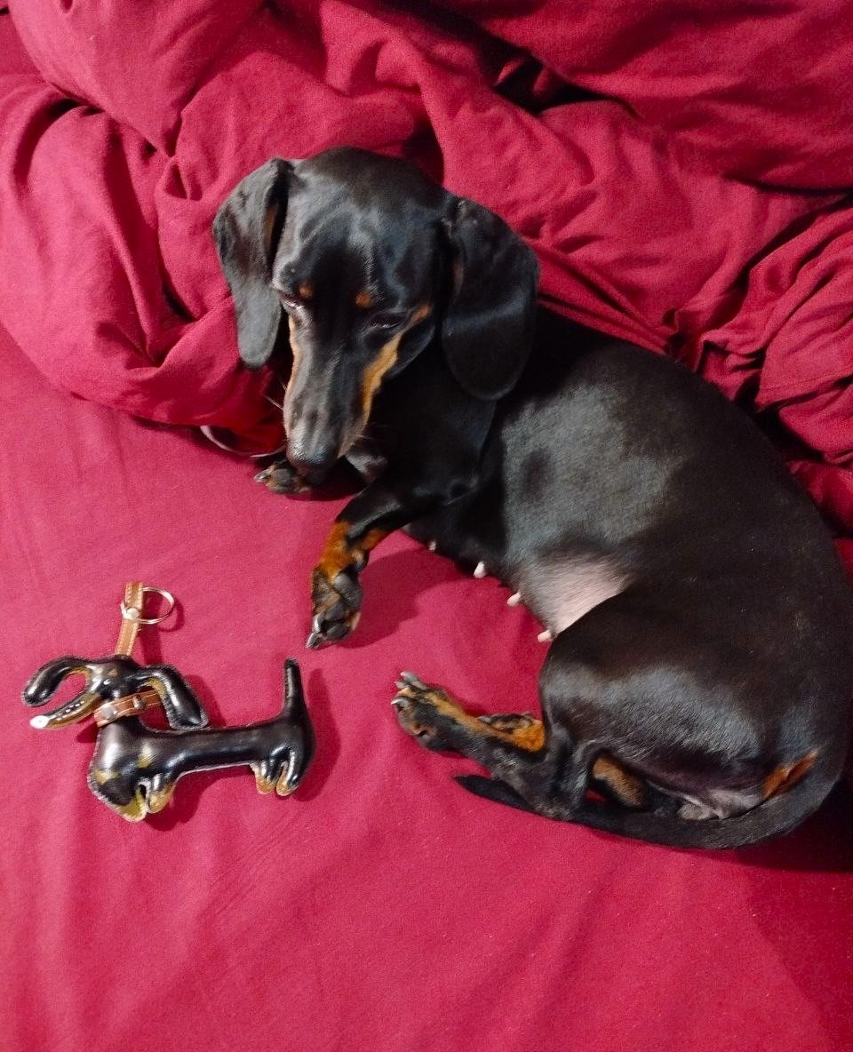 мне кажется получилось. Смотрятся как сестрёнки.)