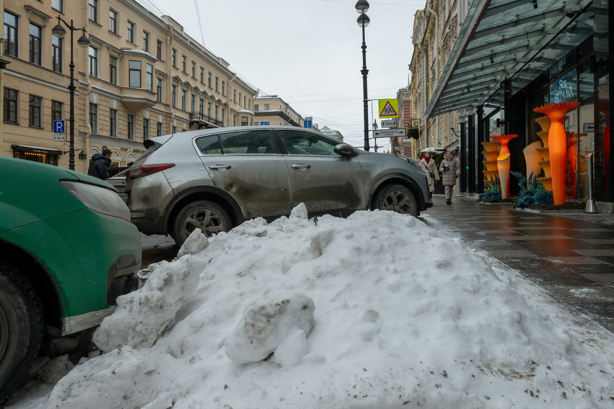 Автор фото: Мартьян Фролов / "ДП"
