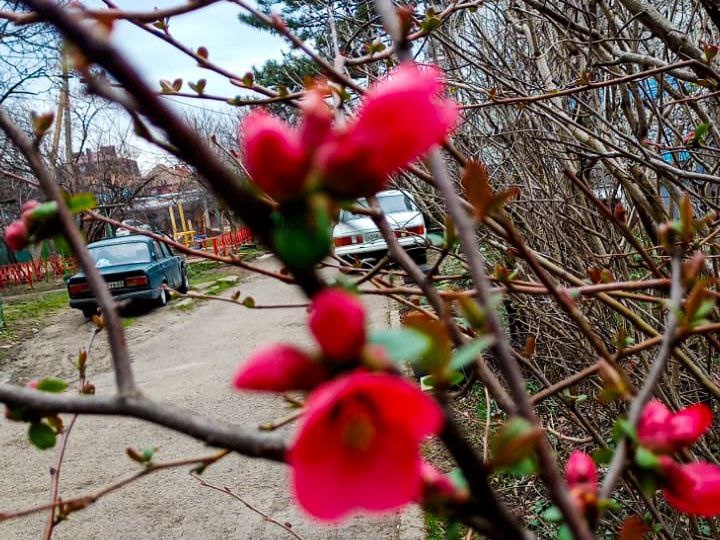 Так выглядит типичный март в Краснодаре