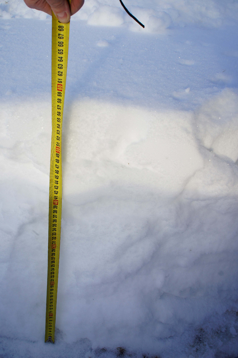 Вот столько у нас нынче снега