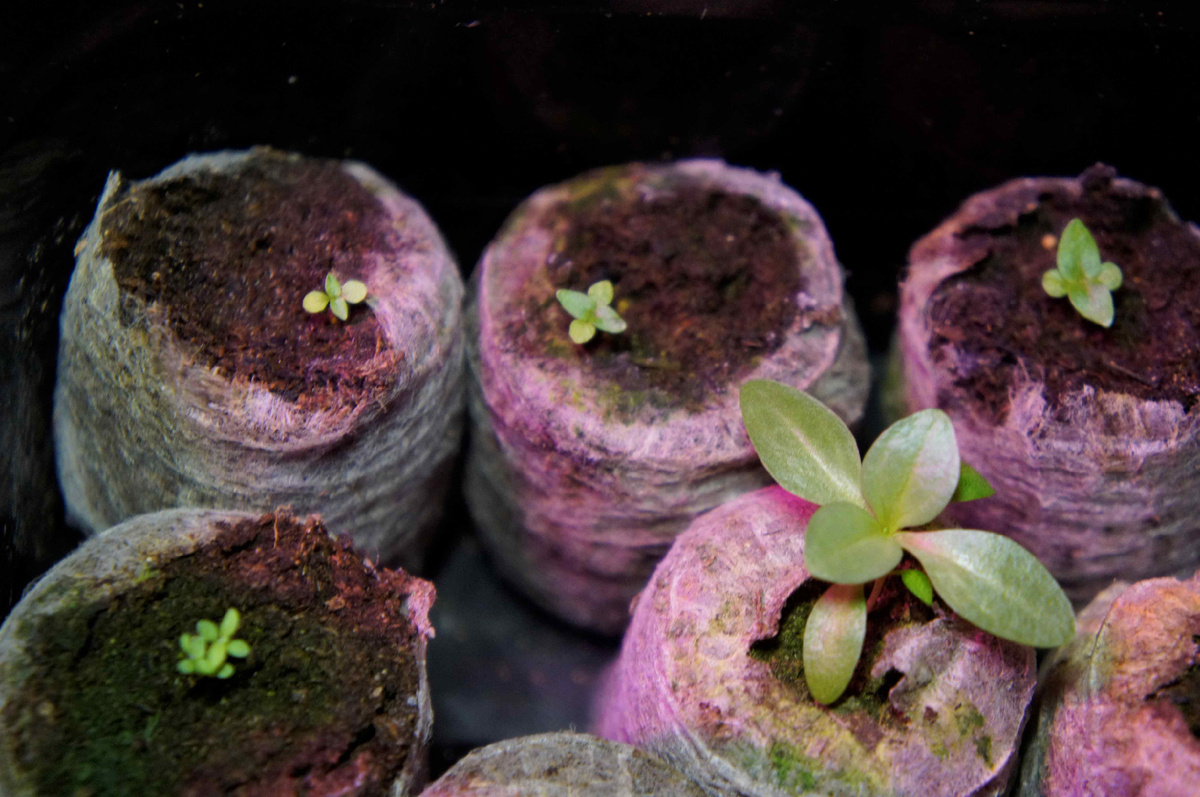 Собственно, воть))