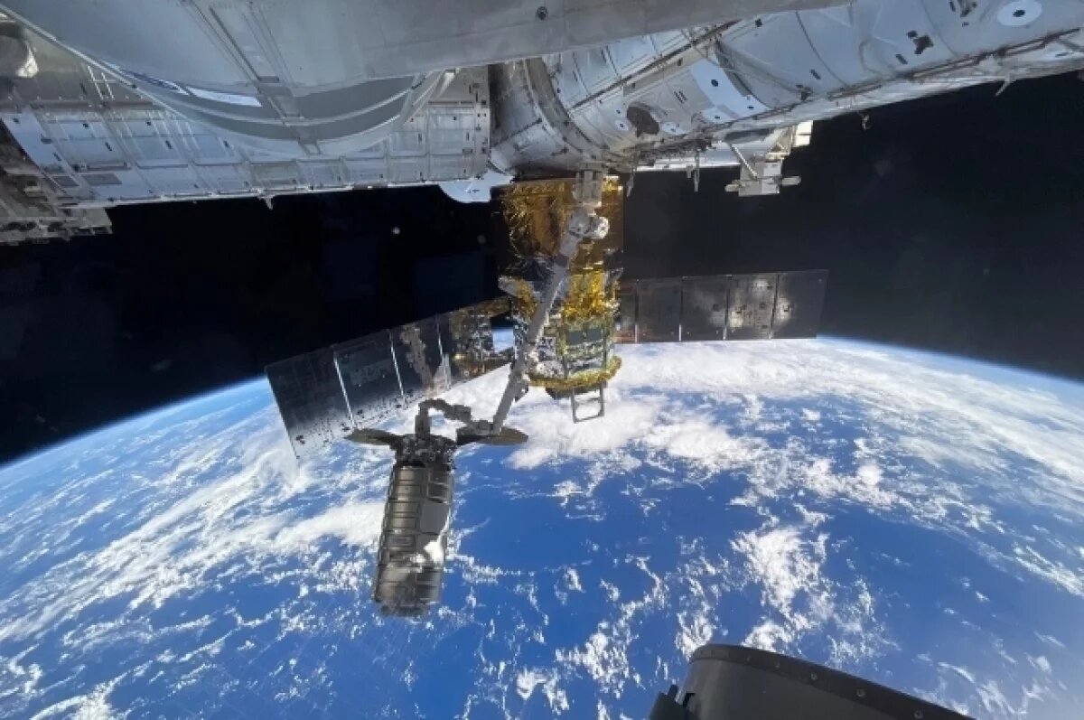    Китайские ученые провели в космосе эксперимент по выведению бабочки