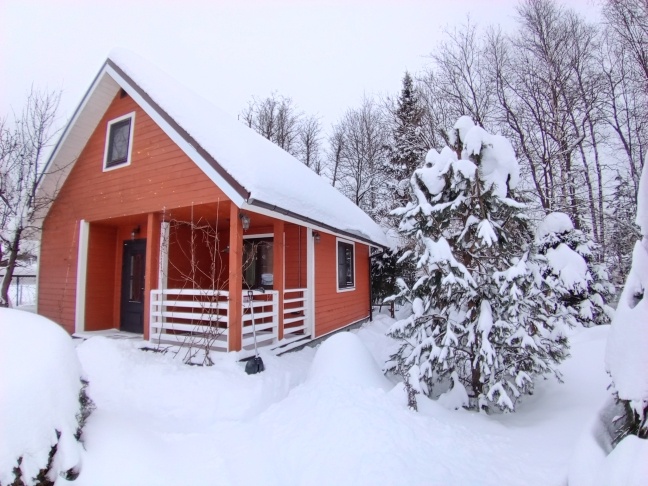Похоже, что Дачную амнистию заморозили. Как вам такое, дачники и садоводы?