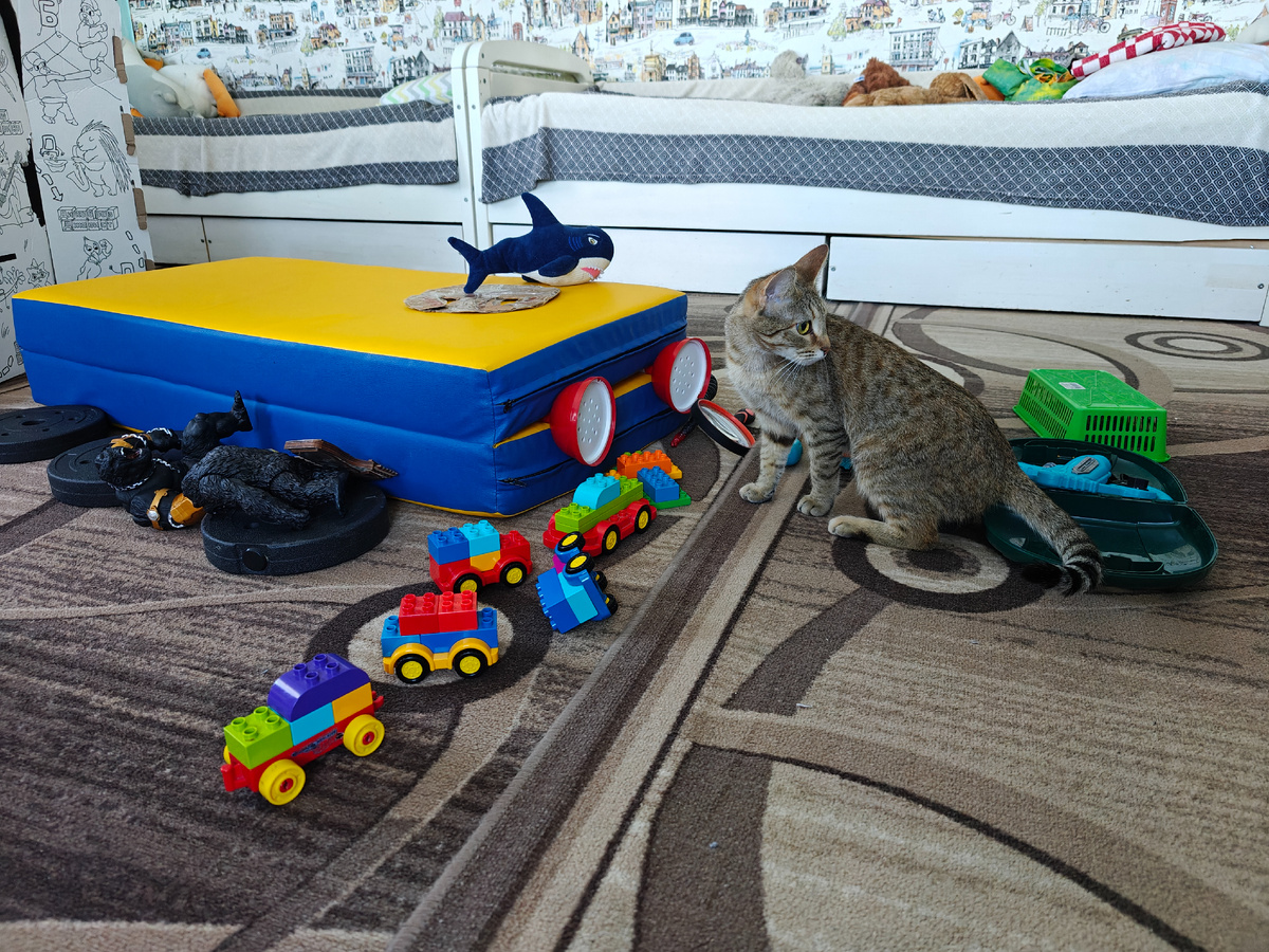 Охота продолжается