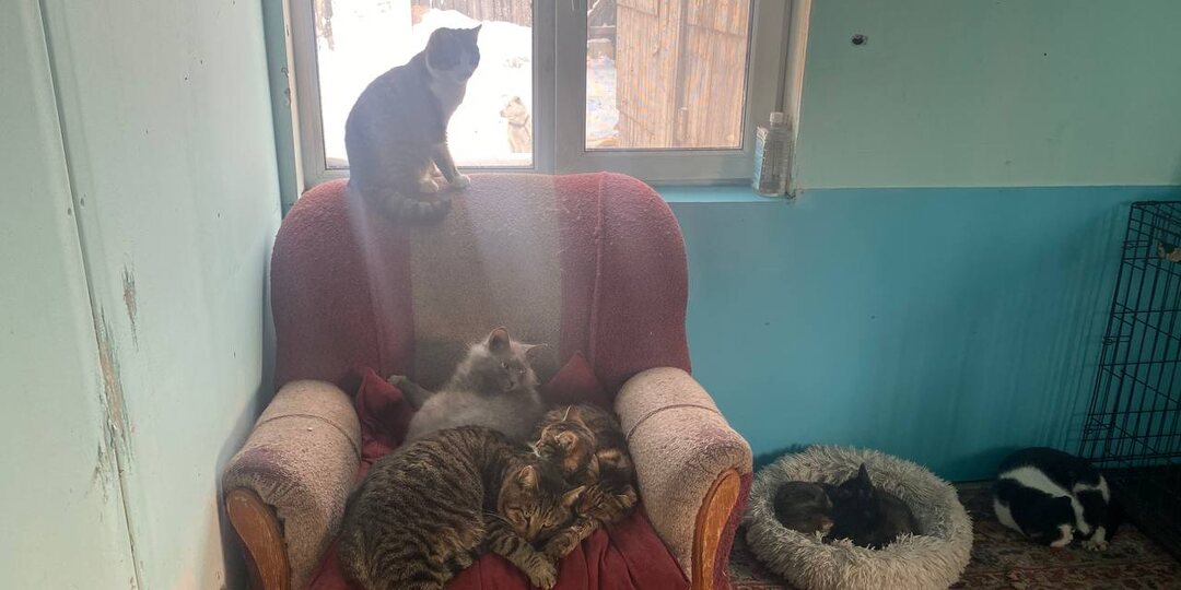 День Добра. Зарплатушке посвящается.