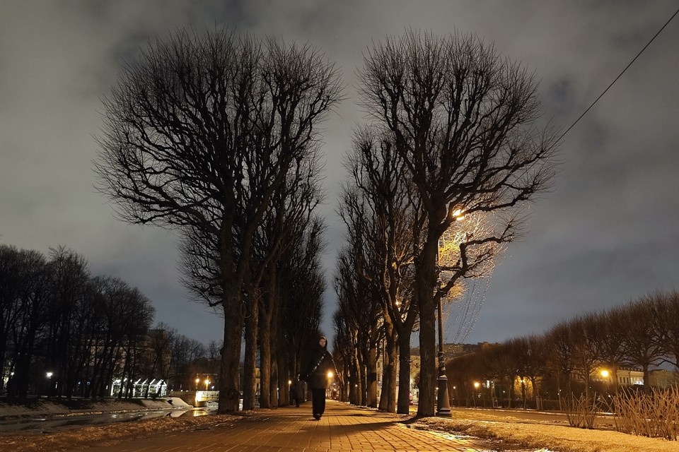    В порядок приведут деревья и кустарники. Алексей БУЛАТОВ
