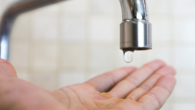 Фото: https://t.me/priozerskiy/4681