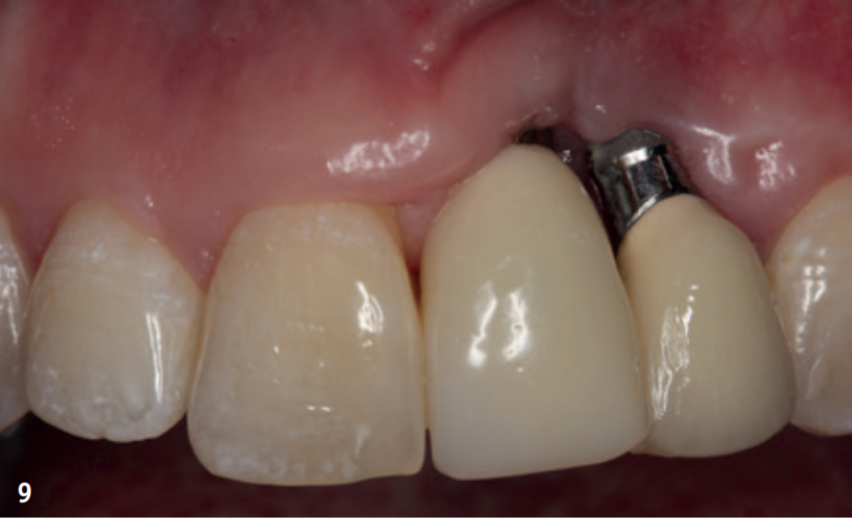 Из открытых источников сети интернет