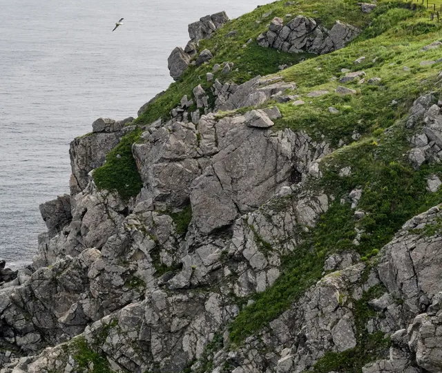 Что посмотреть во Владивостоке? Места для знакомства с городом