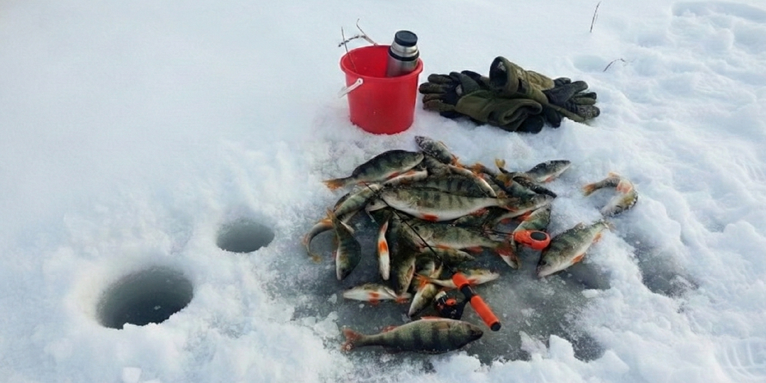 Тактика «Вертикальный прочес»: достаем рыбу из пустоты