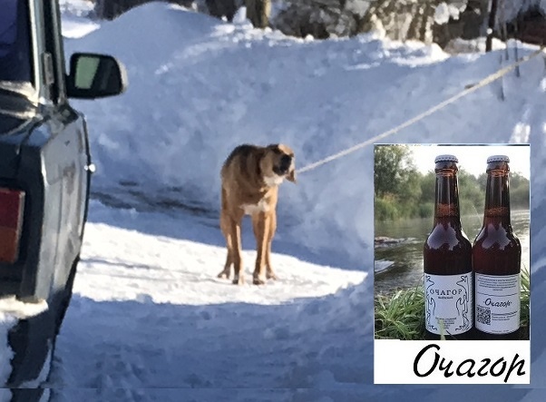 Это как раз та самая собачка